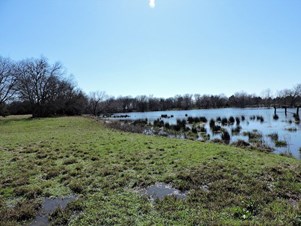 Single Family Homes for sale in Kemp,TX