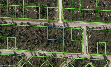 Lands/Lots for sale in Lake Placid,FL