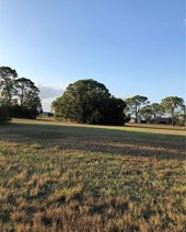 Lands/Lots for sale in Sebring,FL