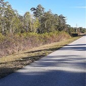 Lands/Lots for sale in Lake Placid,FL