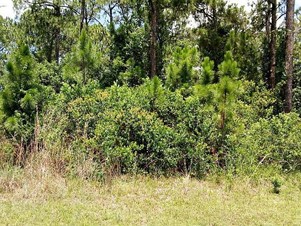 5431 Ponce De Leon Blvd, Sebring, FL 33872