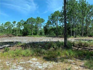 Lands/Lots for sale in Lake Placid,FL
