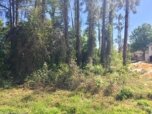 Lands/Lots for sale in Sebring,FL