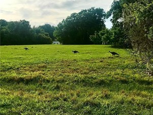 6040 Pine Ln, Sebring, FL 33876