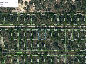 Lands/Lots for sale in Lake Placid,FL