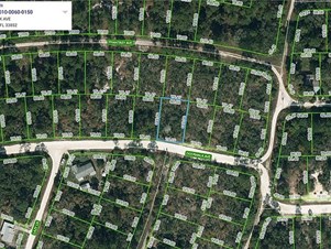 Lands/Lots for sale in Lake Placid,FL