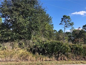 539 Hallmark Ave, Lake Placid, FL 33852