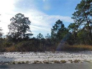 Lands/Lots for sale in Lake Placid,FL