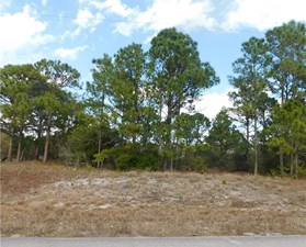 Lands/Lots for sale in Lake Placid,FL