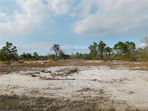 1418 Goldbud St, Lake Placid, FL 33852