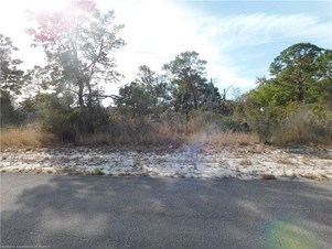 Lands/Lots for sale in Lake Placid,FL