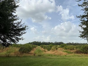 2000 Village Grove Blvd, Sebring, FL 33870