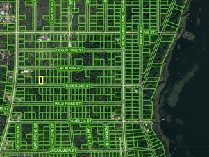 1410 Tuberose St, Lake Placid, FL 33852