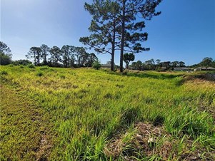 267 Bimini St NE, Lake Placid, FL 33852