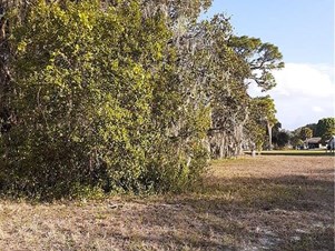 6100 Pine Ln, Sebring, FL 33876