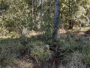 9740 Soaring Pines Ct, Sebring, FL 33875