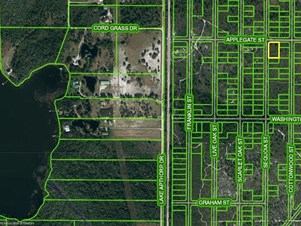 753 Lake Drive East, Lake Placid, FL 33852