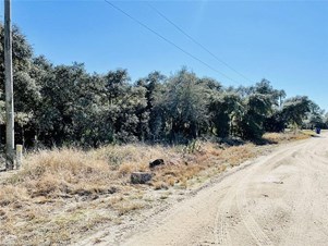 2514 N Todd Rd, Avon Park, FL 33825