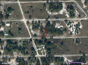 Lands/Lots for sale in Lake Placid,FL