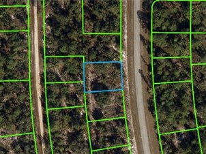 Lands/Lots for sale in Lake Placid,FL