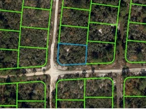 Lands/Lots for sale in Lake Placid,FL