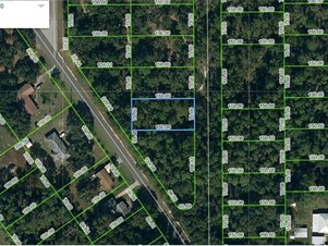 438 Patton Ave, Lake Placid, FL 33852
