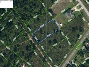Lands/Lots for sale in Lake Placid,FL