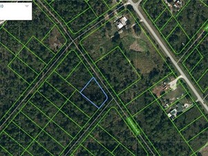 Lands/Lots for sale in Lake Placid,FL