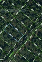 Lands/Lots for sale in Lake Placid,FL