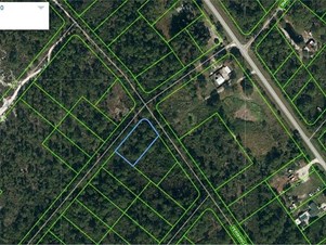Lands/Lots for sale in Lake Placid,FL