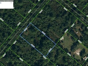 436 Lake Boulevard, Lake Placid, FL 33852