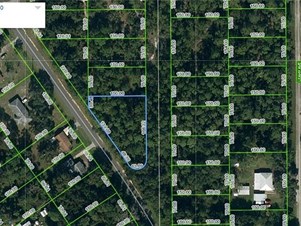 Lands/Lots for sale in Lake Placid,FL