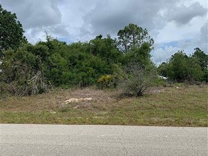 Lands/Lots for sale in Lake Placid,FL