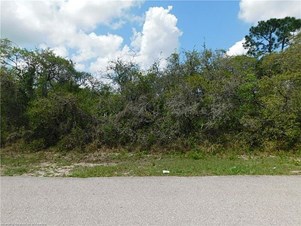 Lands/Lots for sale in Sebring,FL