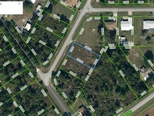 Lands/Lots for sale in Lake Placid,FL