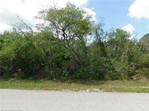 1619 Falcon Ave, Sebring, FL 33872