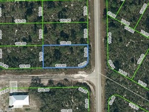 Lands/Lots for sale in Lake Placid,FL