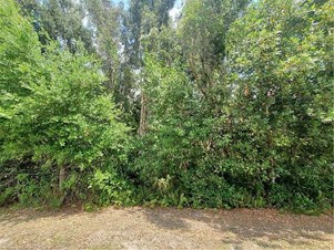 Lands/Lots for sale in Lake Placid,FL