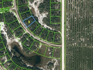 Lands/Lots for sale in Lake Placid,FL