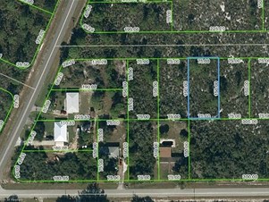 1407 Lake Hill Drive, Lake Placid, FL 33852