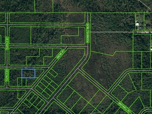 1207 Lake Hill Drive, Lake Placid, FL 33852