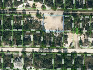 Lands/Lots for sale in Lake Placid,FL