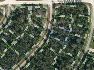 Lands/Lots for sale in Lake Placid,FL