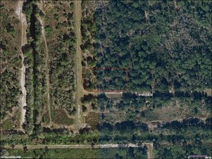 2251 S Griese Rd, Avon Park, FL 33825