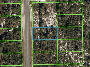 Lands/Lots for sale in Lake Placid,FL