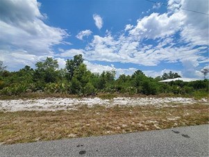 423 Hallmark Ave, Lake Placid, FL 33852
