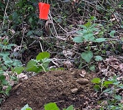 Lands/Lots for sale in Camano Island,WA