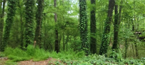 Shadowbrook Drive, Marietta, Georgia 30062