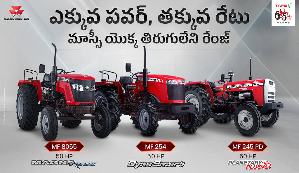Massey Ferguson - S.L.N. Motors