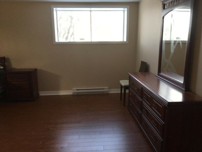 Walk-out Basement Of A Spacious Bungalow